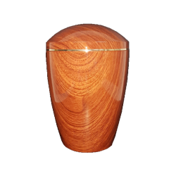52820103