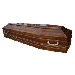910walnut-novo21